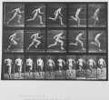 Muybridge runner.jpg